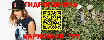 PSILOCYBIN Малгобек